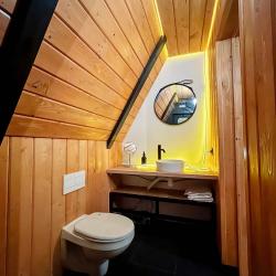 Фото Отель Хвойная хижина