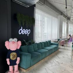 Deep Capsule Hotel (Дип) — a206ad646c0cd2cac1a685f1a5d34623
