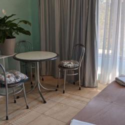 1-комнатные апартаменты студия 1.3