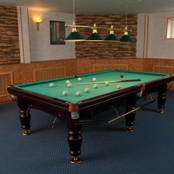 Фото Отель Гостевой дом Сосновый Бор