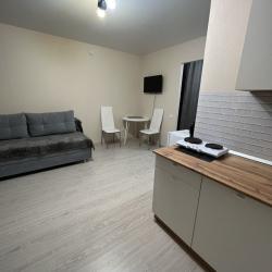 1-комнатные апартаменты студия