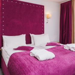 Номер делюкс бизнес с 1 двуспальной кроватью (с завтраком)