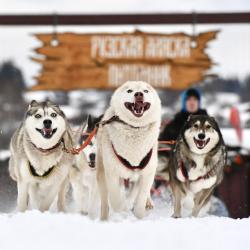 Фото Отель Shagal Chalet (Шагал Шале)