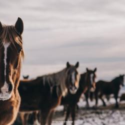 Фото Отель Мечтатель