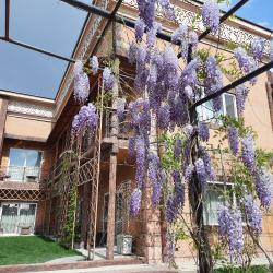 Фото Отель Пан Азиат