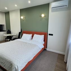 2-местные 1-комнатные апартаменты студия с 1 двуспальной кроватью (315)