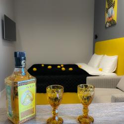 1-комнатные апартаменты студия с 1 двуспальной кроватью YELLOW