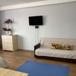 Фото Апартаменты на улице Сарафановская