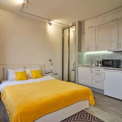 1-комнатные апартаменты студия Улучшенный Loft 450