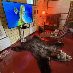 Фото Отель Aston Martin Tower ART (Астон Мартин Тауэр АРТ)