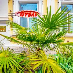 Фото Отель Виста