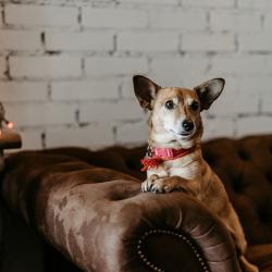 Фото Отель Фабрика