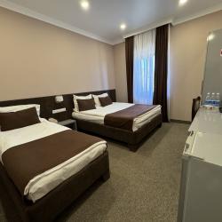 Фото Отель Aragats Hotel (Арагац)