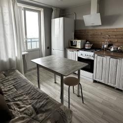 Фото Апартаменты на проспекте Ленина 369