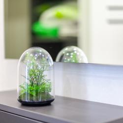 Фото Отель RentPlaza (РентПлаза) на улице Гая 20