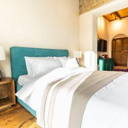 Номер делюкс с 1 двуспальной кроватью и террасой