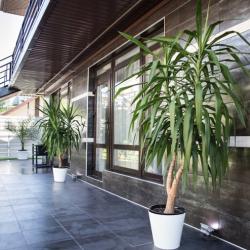 Фото Отель Султан