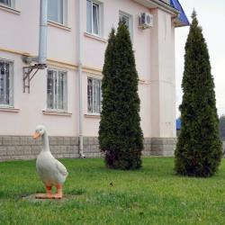 Фото Отель Космос