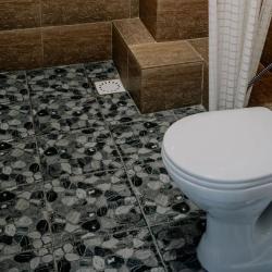 Фото Отель Багира