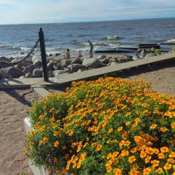 Фото Апартаменты на улице Володарского 35