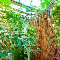 Фото Отель ский двор