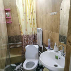 Фото Отель Эмиль