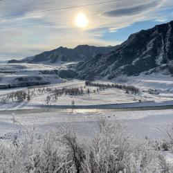 Фото Отель Дикий Ёж