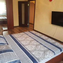 Фото Апартаменты на переулке Академика Заварицкого 8