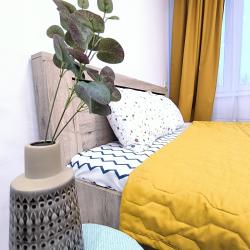 Фото Апартаменты на улице Профсоюзная 63 корпус 1