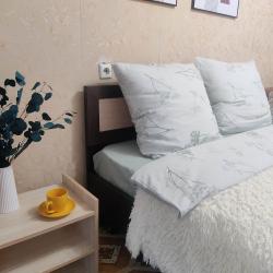 Фото Апартаменты на улице Пермская