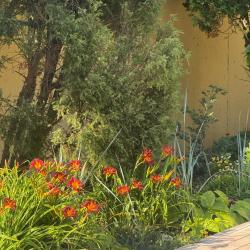 Фото Отель Идиллия