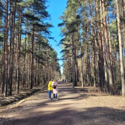 фото 51 Трилогия на улице Народного Ополчения