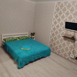 Апартаменты стандарт Партизанская улица, 203