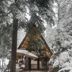 Коттедж стандарт №2