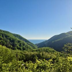 Фото Отель Рита