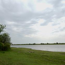 Фото Отель Таловиночка