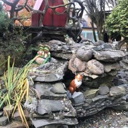 Фото Отель Времена Года