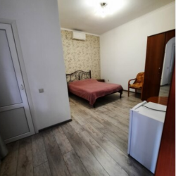 Фото Отель Альбина