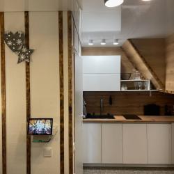 2-комнатные апартаменты люкс (мансарда)