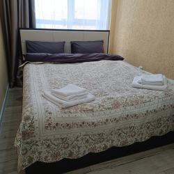 Фото Апартаменты на Рауиса Гареева, 105Б