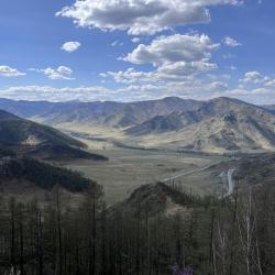 Фото Отель Алтай Эко Кедр