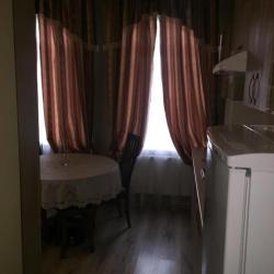 Фото Отель Novosel (Новосёл)