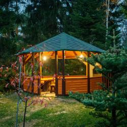 Фото Отель Green Forest (Грин Форест) у Игоры