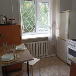 Фото Апартаменты на улице Помяловского 17