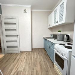 1-комнатные апартаменты стандарт Алексеева 27