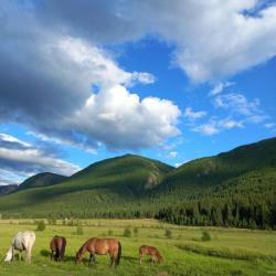 Фото Отель Счастье в горах