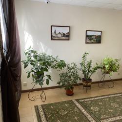 Фото Отель Пегас Клуб