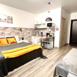 1-комнатные апартаменты студия №1