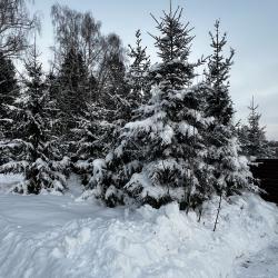 Мини-дом «Немо»