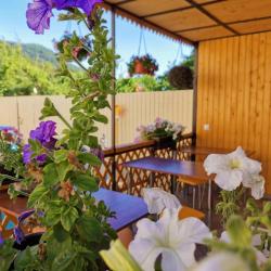 Фото Отель Гостевой дом АмиКо Club